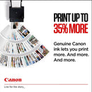 Canon PG-545/CL-546 CMYK Inkjet Cartridges (Pack of 2) 8287B005