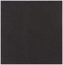 Janit-X Bar Napkins / Serviettes 2ply 23cm BLACK {100}