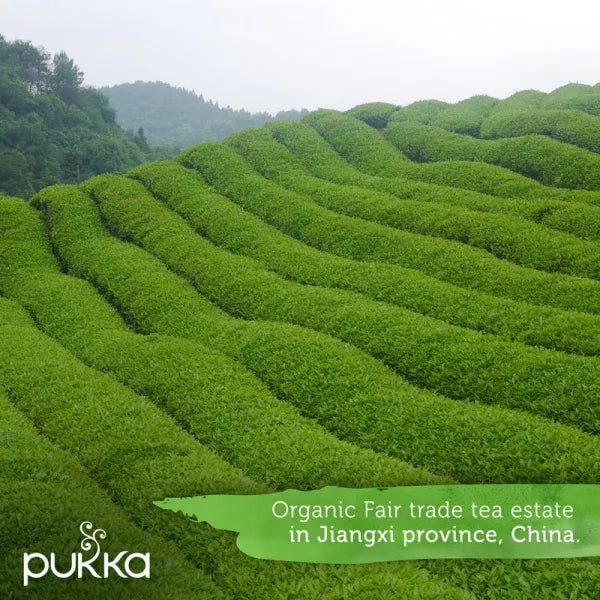 Pukka Herbs Clean Matcha Green Tea, 20 Tea Bags - View #7