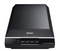 Epson Perfection V600 Flatbed scanner - UK BUSINESS SUPPLIES