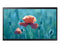 Samsung QB24R-B 23.8 Inch 1920 x 1080 Pixels Full HD Resolution HDMI USB Large Format Display - UK BUSINESS SUPPLIES