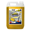 Flow Surface Cleaner Lemon 5L