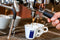 Lavazza Gran Espresso Paper ESE Pods 150s
