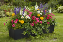 Primeur Sonata Planter 15Cm Slate P00018395