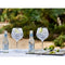 Fever Tree Refreshingly Light Tonic Water 24 x 200ml (Glass Bottle)
