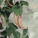 Apollo Pea And Bean Net With 153mm Mesh 10m x 2m