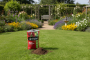 Levington Peat Free Multi Purpose Compost | Child & Pet Friendly | 20 Litre.