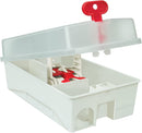 The Big Cheese Ultra Power Ready-Baited Mouse Trap Kit, White