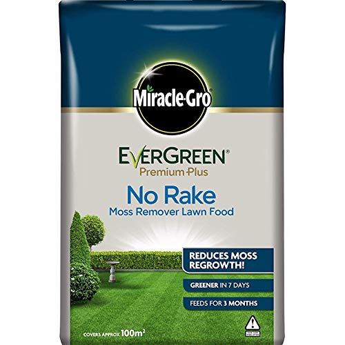 Miracle-Gro® Evergreen Premium Plus No Rake 100m2