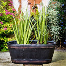 Oakwood Effect 60cm Trough For Plants / Garden Indoor or Outdoor