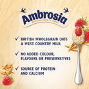 Ambrosia Ready-to-Eat Raspberry Layered Porridge Pots | 6 x 210g Pots