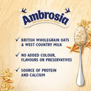 Ambrosia Low Fat Porridge Pots, Ready-to-Eat Golden Syrup | 6 x 210g