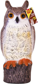 The Big Cheese Long Eared Owl Realistic Decoy Deterrent, Scares Birds From Gardens And Buildings