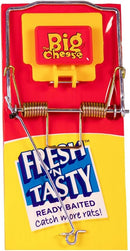 The Big Cheese Fresh Baited Rat Trap