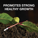 Doff Natural Rooting Powder 75g