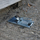 The Big Cheese Galvanised Metal Reusable Ultra Power Mouse Traps 2 Pack