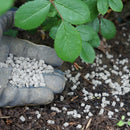Vitax Q4 All Purpose Plant Food 900g