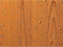 Ronseal 32993 Thompsonfts One Coat Water Seal 5 Litre