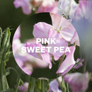 Airwick Freshmatic Pink Sweet Pea Refill 250ml