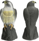 Natural Bird Deterrent for Garden,Business or Home | Falcon Bird&nbsp; 40cm | Harmless pest Control