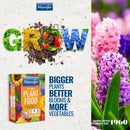 Phostrogen All Purpose Plant Food, 2Kg/200 Can - Plant And Edibles Fertiliser Feed