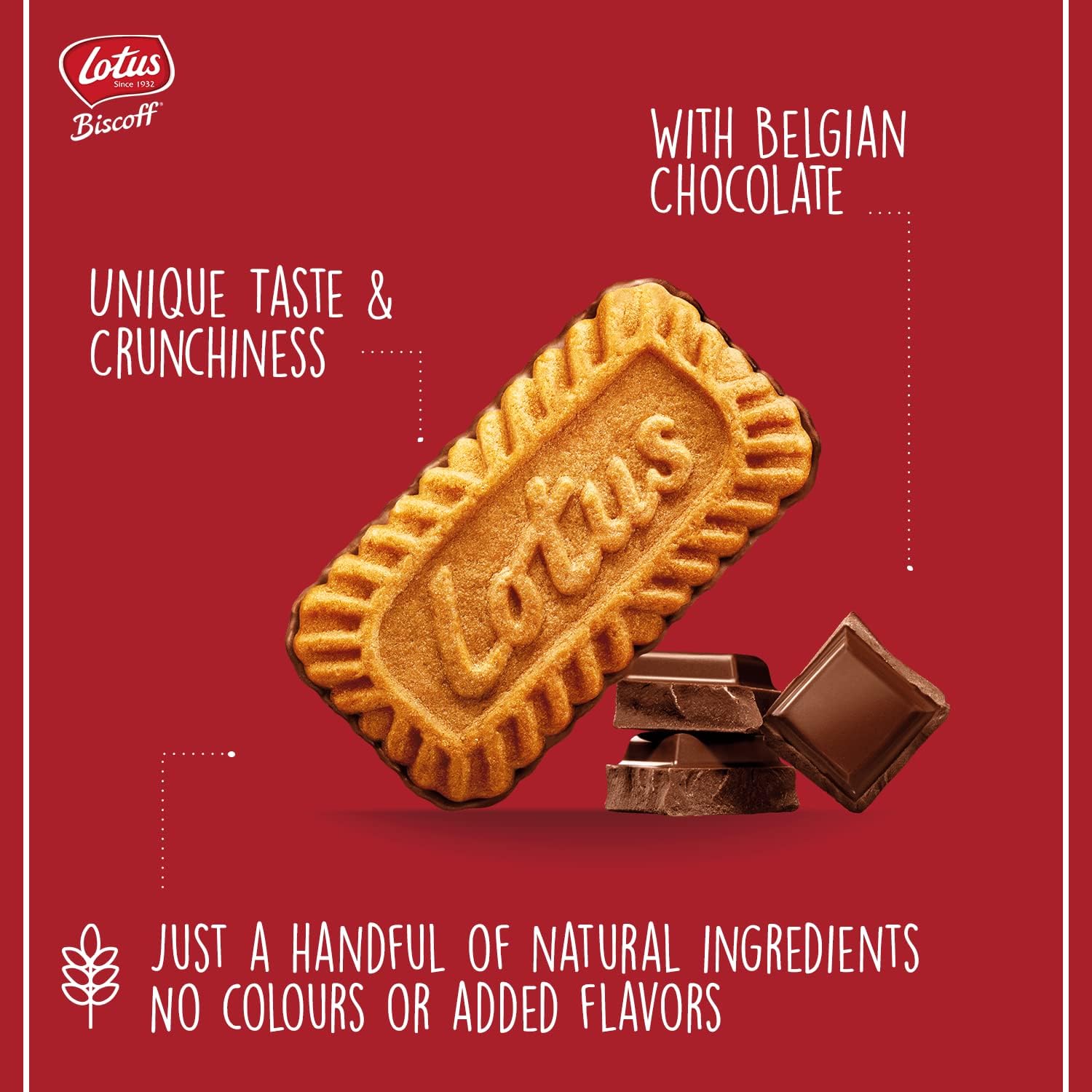 Lotus Biscoff Individually Wrapped Caramelised Biscuits with Belgian