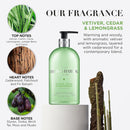 Baylis & Harding Vetiver, Cedar & Lemongrass | Anti-Bacterial Luxury Hand Wash | 1 x 500ml