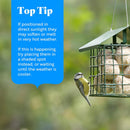 RSPB - Fat Balls for Wild Birds | High Energy Suet Balls | Made in the UK | 1 x 50 Box