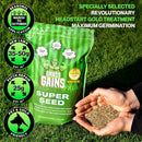 Lawn Seed 500g | Premium Grass Seeds Fast Growing for Patch Magic Lawn Repair | 1 x 500g