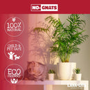 Lava-Lite No Gnats | Original Natural Fungus Gnat Killer for Houseplants, Soil & Compost | Child