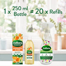 Zoflora Mandarin & Lime Concentrated Multipurpose Disinfectant Liquid | 1 x 250ml