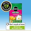 Miracle-Gro Peat Free Azalea Camellia Rhododendron Ericaceous Potting Compost 10L Bag