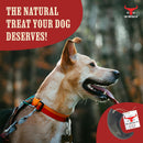 The Buffalo Co. Buffalo Horn for Dogs | Large (6-8 Inch) | 100% Natural Grass-Fed Dog Treats