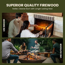 Wood Burner Logs 20L - Kiln Dried British Softwood Logs for Wood Burners