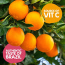 Rio Tropical Sparkling Fruit Drink | 1 x 24 x 330ml