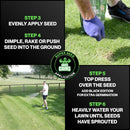 Lawn Seed 500g | Premium Grass Seeds Fast Growing for Patch Magic Lawn Repair | 1 x 500g