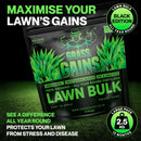 Lawn Bulk Black Edition 2.5kg