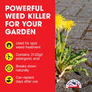 Doff 24/7 Fast Acting Weedkiller | 1 Litre