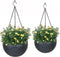 Fixtures Black Rattan Effect Hanging Basket LARGE 25cm x 16cm