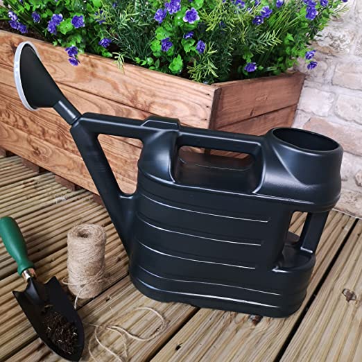 Ward 6.5L Budget Space Watering Can with Rose - Green
