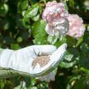 Miracle-Gro Rose & Shrub Fast Acting Plant Food 3kg