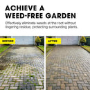 Doff Advanced Concentrated Weedkiller | Kills Deep Rooted Weeds | 1 Litre