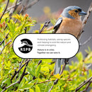 RSPB - Fat Balls for Wild Birds | High Energy Suet Balls | Made in the UK | 1 x 50 Box