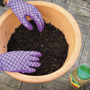 Miracle-Gro Continuous Release All Purpose Plant Food 900g