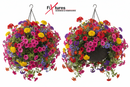 Fixtures Brown Rattan Effect Hanging Basket LARGE 25cm x 16cm