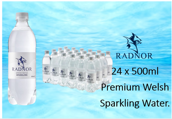 Radnor Hills Spring Sparkling Water 24 x 500ml (Plastic Bottle)