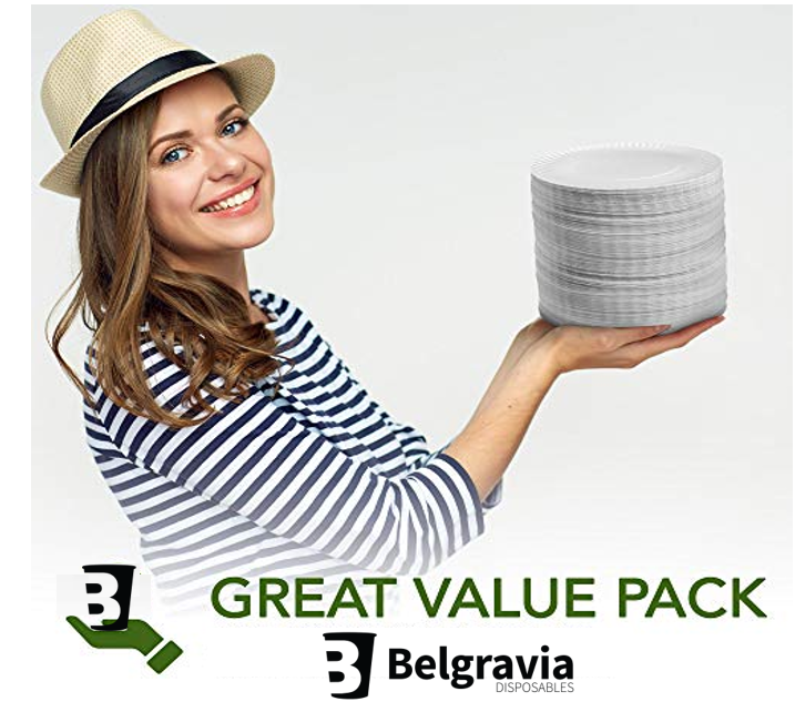 Disposable Paper Plates by Belgravia Disposables (23cm, 9") 100 Plates