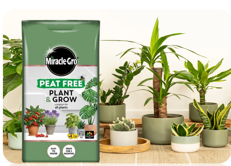 Miracle Gro All Purpose Plant & Grow | Suitable for all Plants |6 Litre