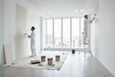 Dulux  Easycare Matt Emulsion Paint For Walls And Ceilings - Polished Pebble 2. 5L