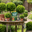 Vitax Buxus Feed  | Extended Nitrogen Release, Promotes Healthy Growth: 1Kg Pouch